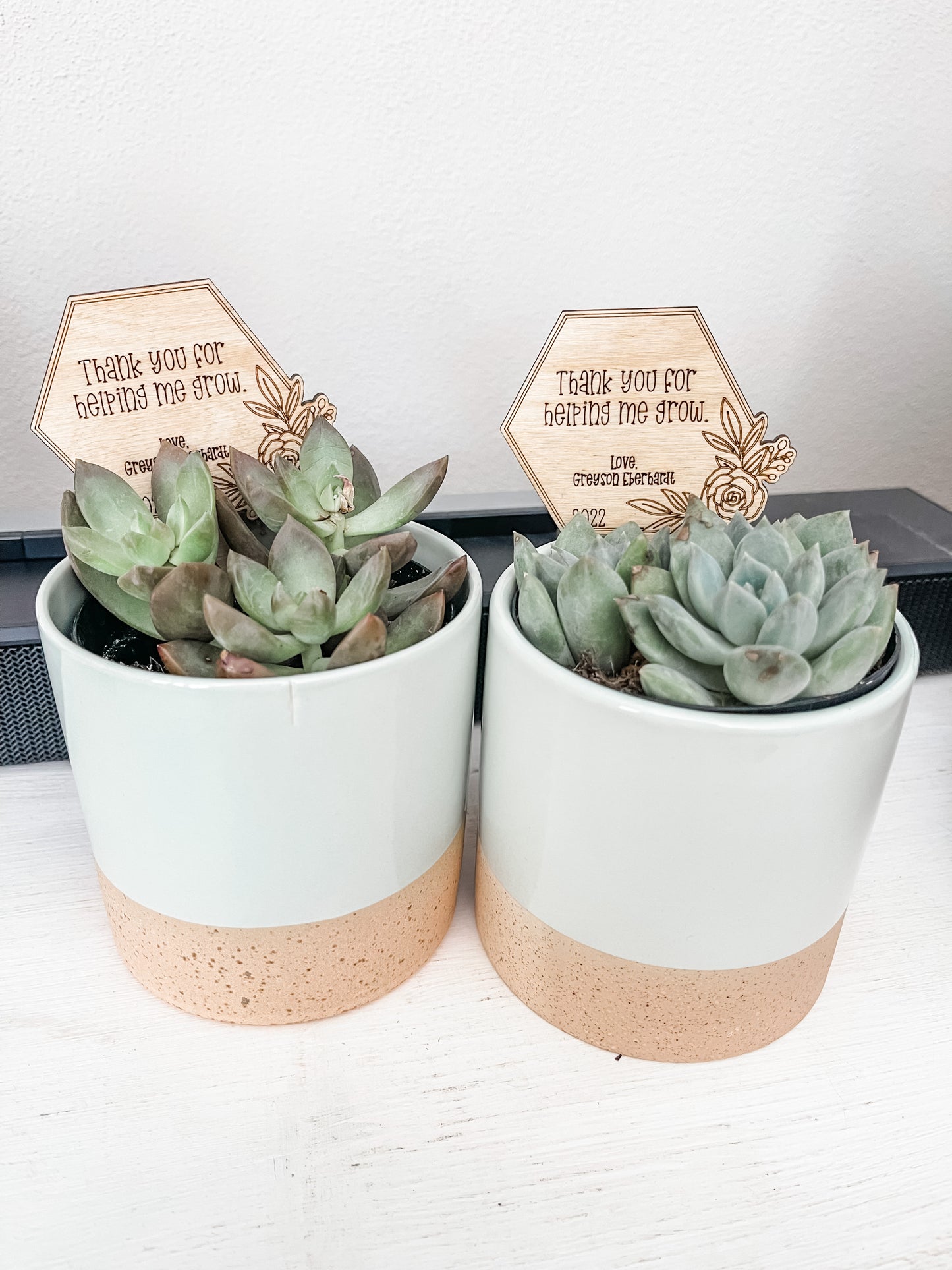 'Help Me Grow' Plant Stake - Custom