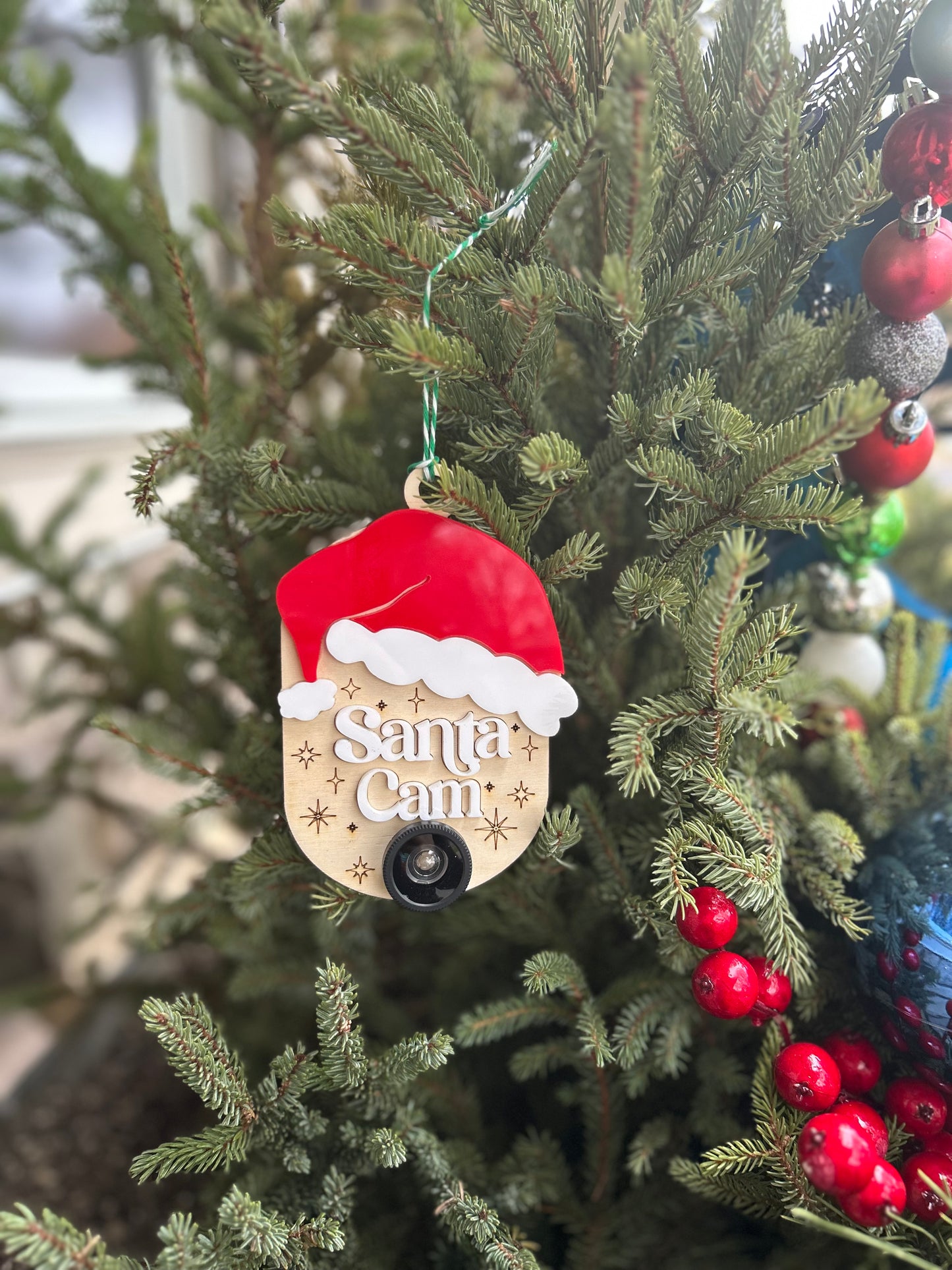 Santa Cam Ornament